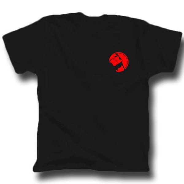 画像1: The Black Angels ザ・ブラック・エンジェルズ Skull Back Tシャツ (Sサイズ)＜セール特価商品＞ (1)
