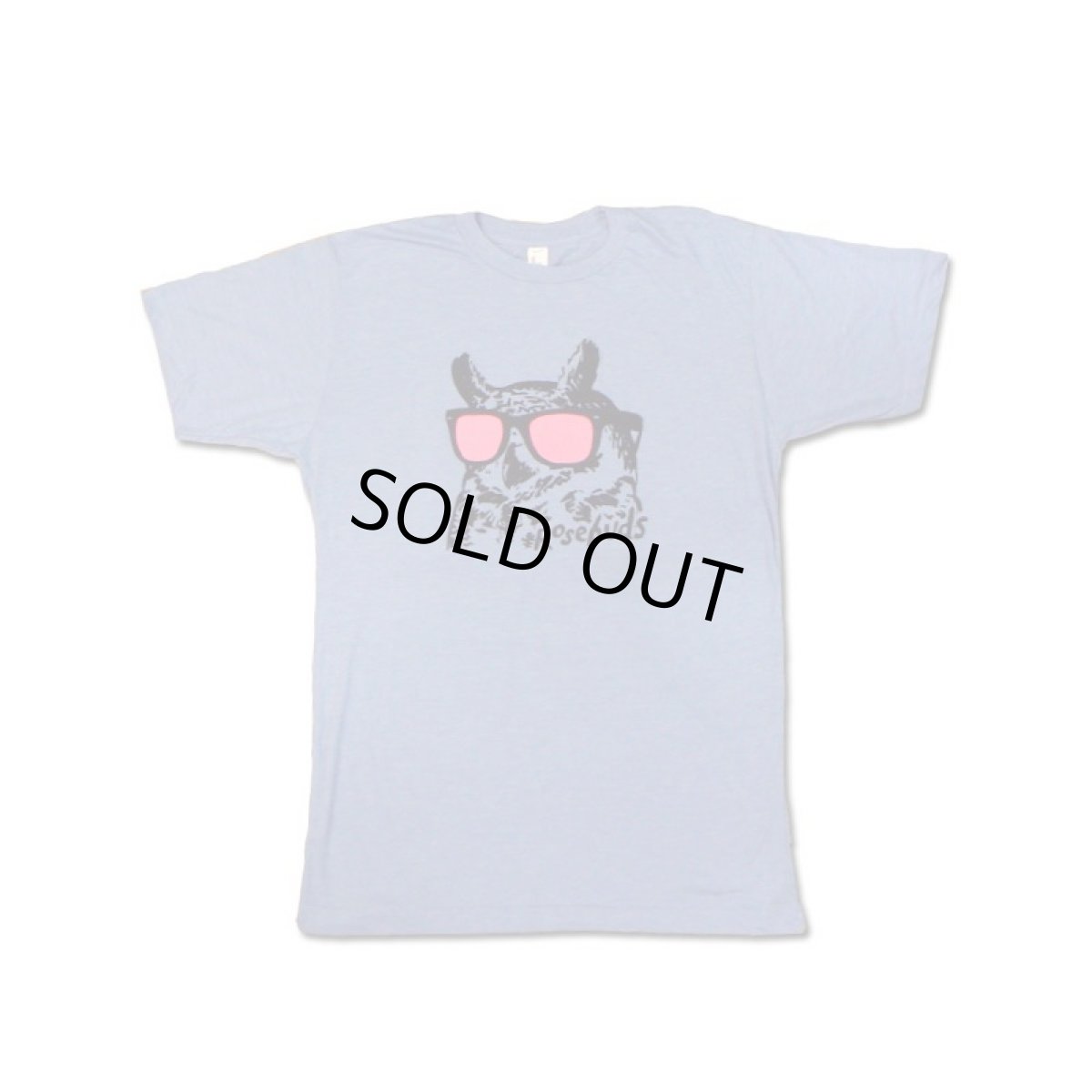 画像1: The Rosebuds ザ・ローズバッズ Owl Tシャツ [S/Mサイズ]＜セール特価商品＞ (1)