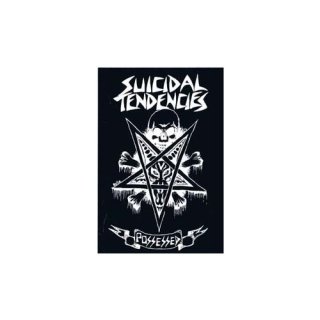SUICIDAL TENDENCIES ステッカー レア　アメ車 SUICIDAL TENDENCIES 7.5″ Bumper Sticker Decal Rock Roll | eBay