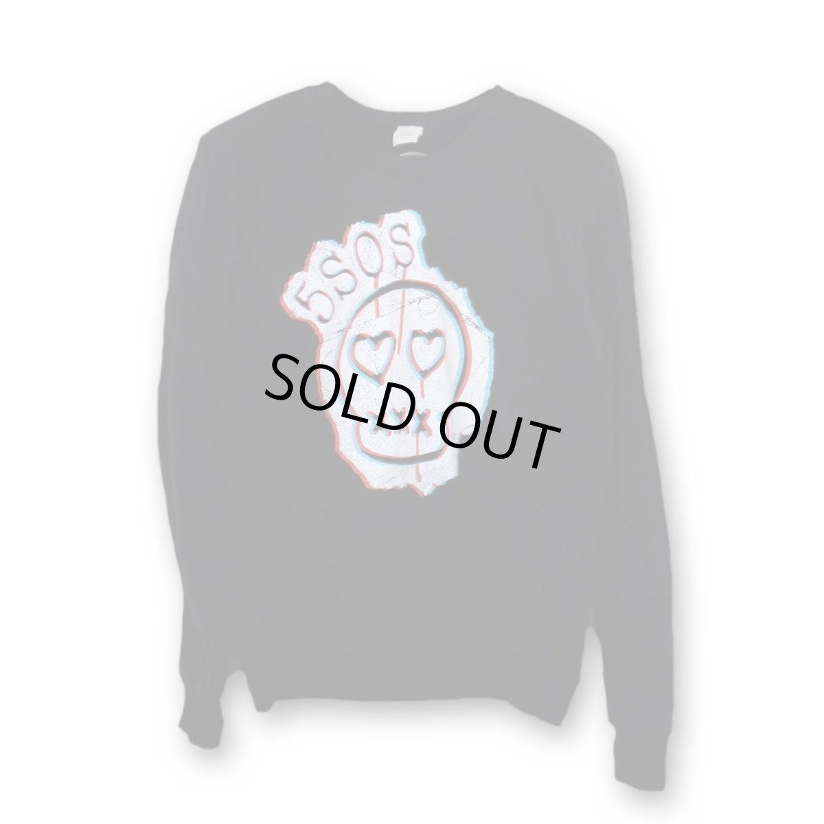 画像1: 5 Seconds Of Summer スウェットシャツ ファイブ・セカンズ・オブ・サマー Logo レディース＜セール特価商品＞ (1)