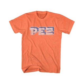The Cranberries バンドTシャツ ザ・クランベリーズ Square