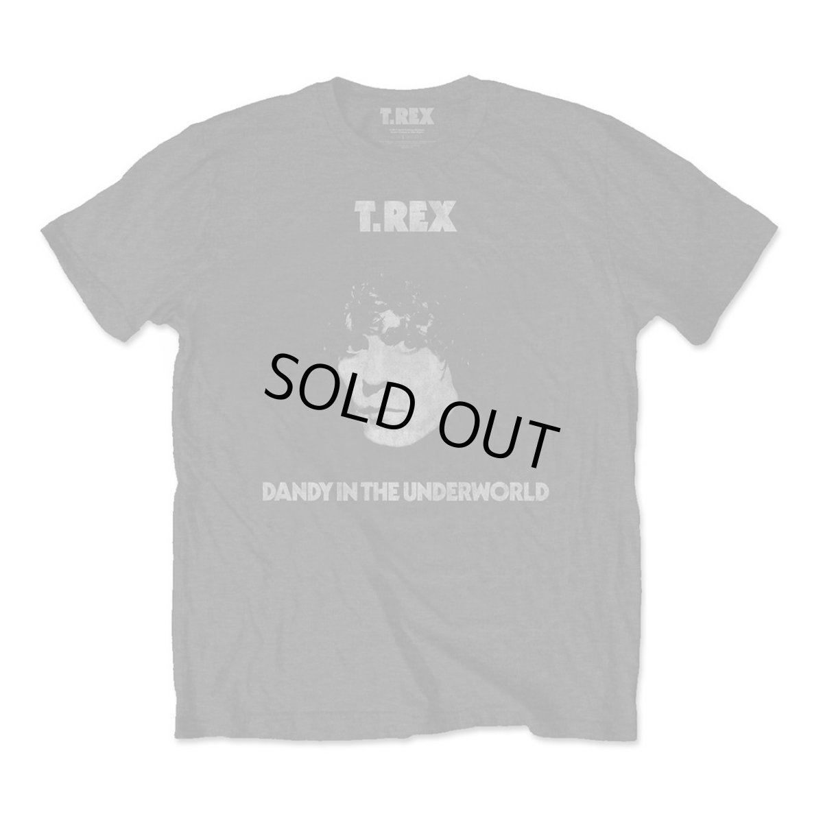 画像1: T.Rex バンドTシャツ T.レックス Dandy (1)