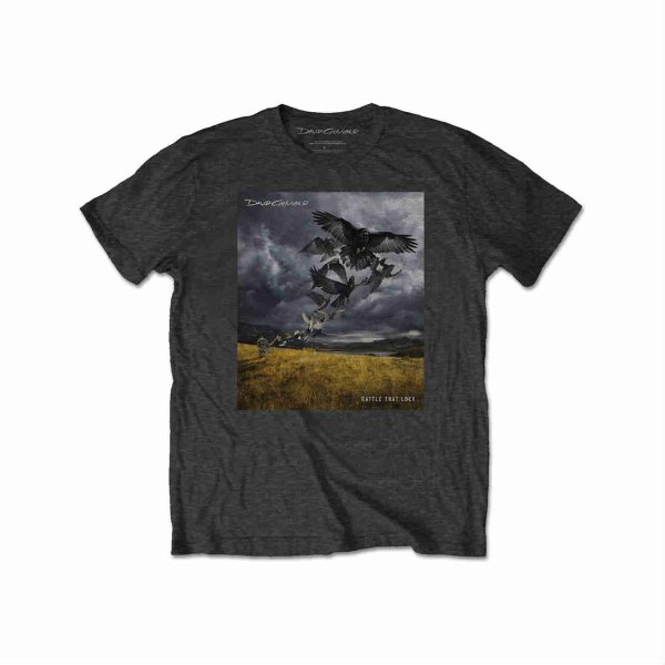 画像1: David Gilmour Tシャツ デヴィッド・ギルモア Rattle That Lock (1)