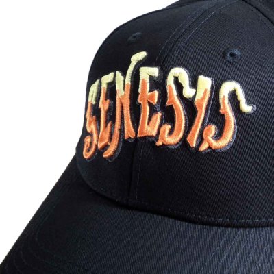 画像1: Genesis スナップバックキャップ ジェネシス Orange Logo