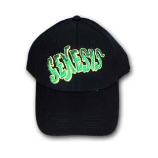 GREEN DAY dookie! スナップバックキャップ black Rock Off officially licensed products Green Day Dookie Band