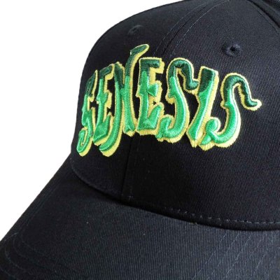 画像1: Genesis スナップバックキャップ ジェネシス Green Logo