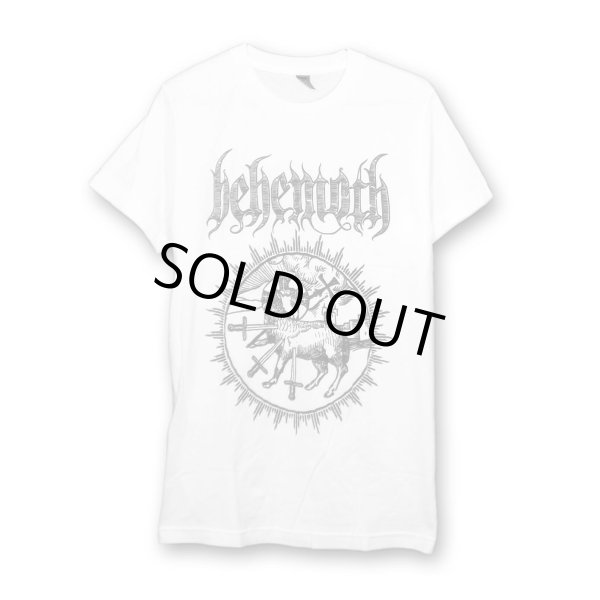 画像1: Behemoth バンドTシャツ ベヒーモス Lamb Sigil (1)