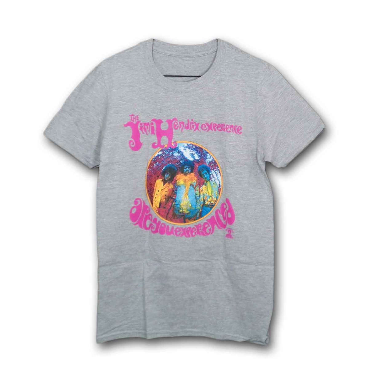 画像1: Jimi Hendrix Tシャツ ジミ・ヘンドリックス Are You Experienced GREY (1)