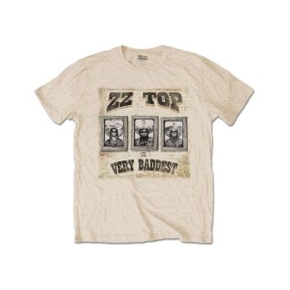 ALSTYLE APPAREL ZCTIVEWEAR ZZ TOP ズィーズィートップ 両面プリント バンドTシャツ バンT メンズXXL /eaa341062