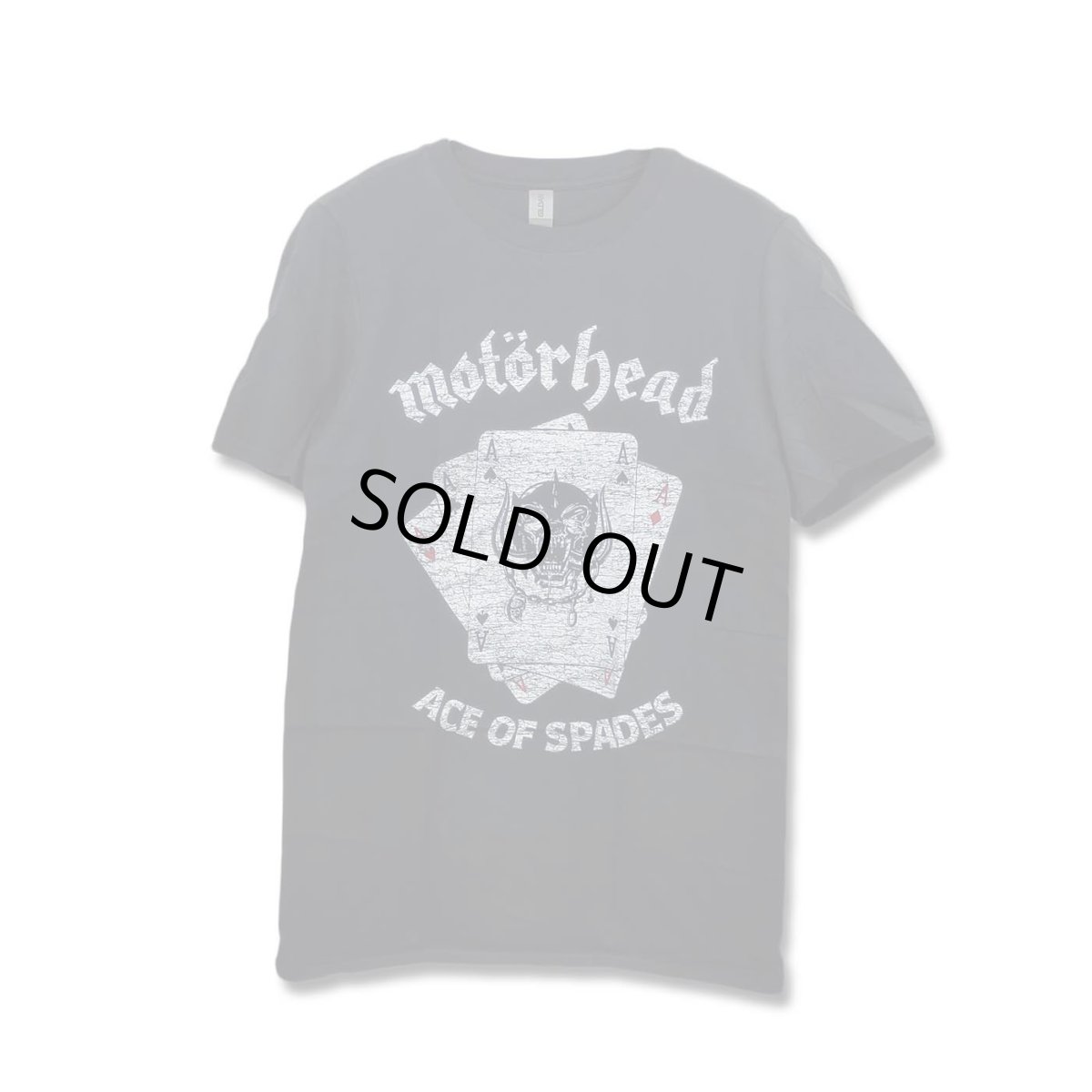 画像1: Motorhead バンドTシャツ モーターヘッド Flat Warpig Aces ＜セール特価商品＞ (1)
