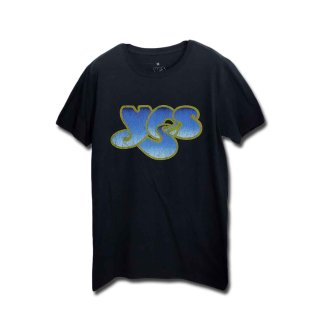 2 Live Crew Tシャツ ツー・ライヴ・クルー Vintage Logo 2 Live Crew Tシャツ ツー・ライヴ・クルー Vintage Logo
