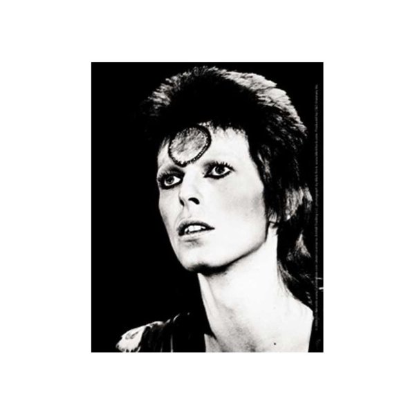 画像1: David Bowie ステッカー デヴィッド・ボウイ Black & White (1)