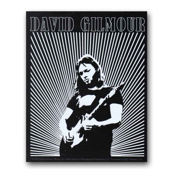 画像1: David Gilmour ステッカー デヴィッド・ギルモア Lines Logo (1)