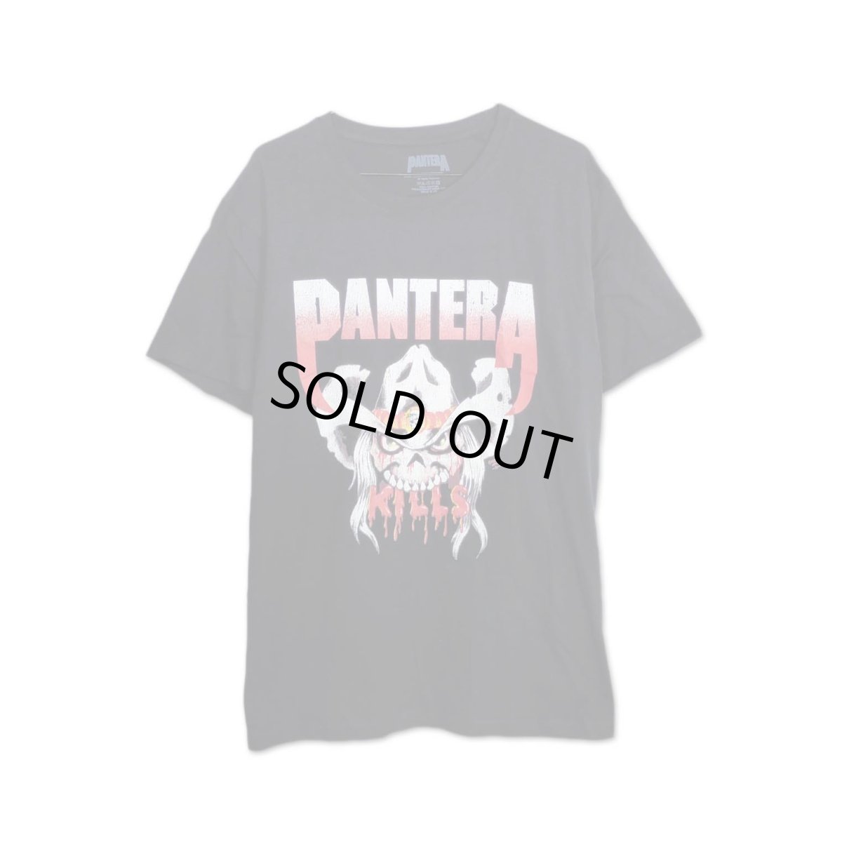 画像1: Pantera バンドTシャツ パンテラ Kills Tour (1)