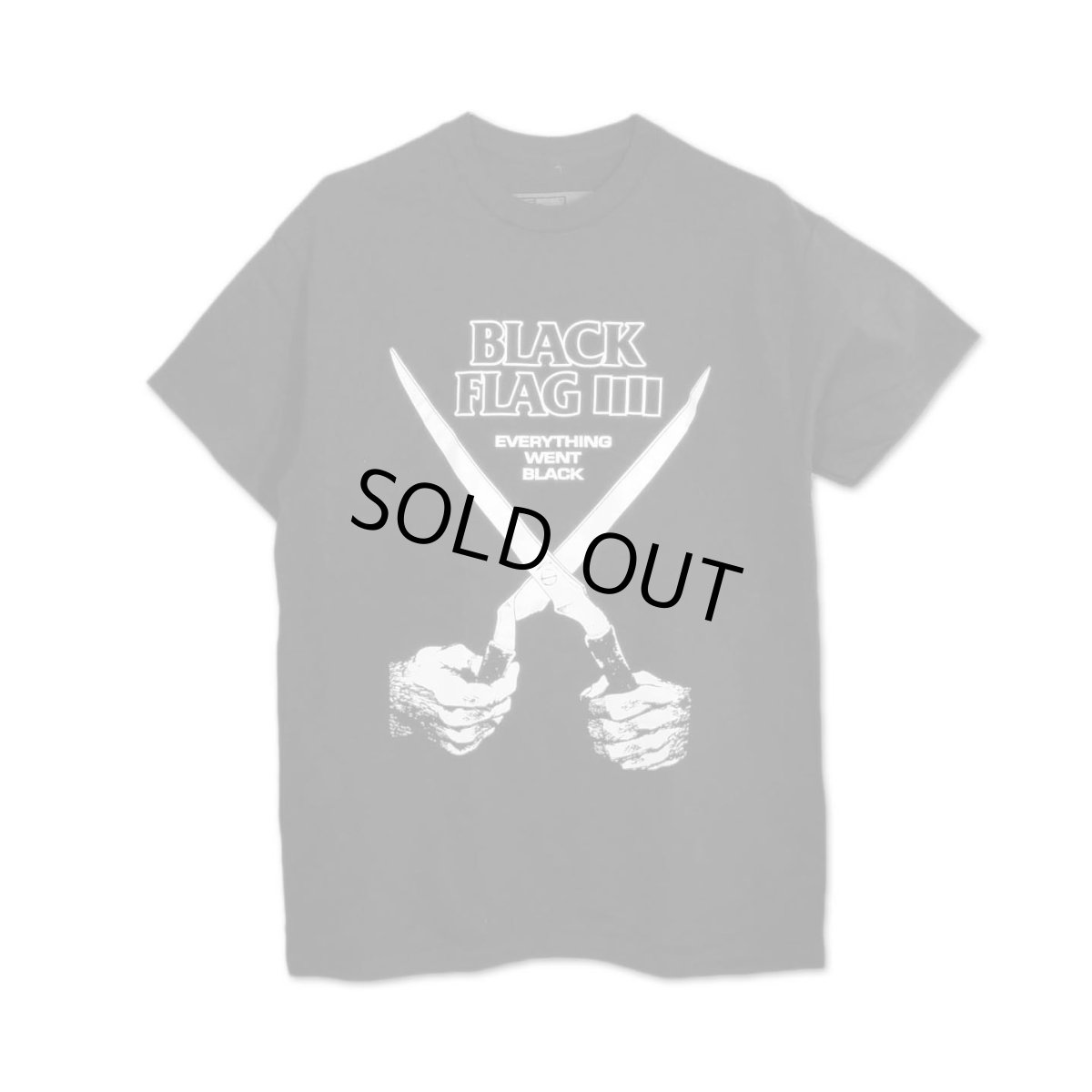 画像1: Black Flag バンドTシャツ ブラック・フラッグ Everything Went Black (1)