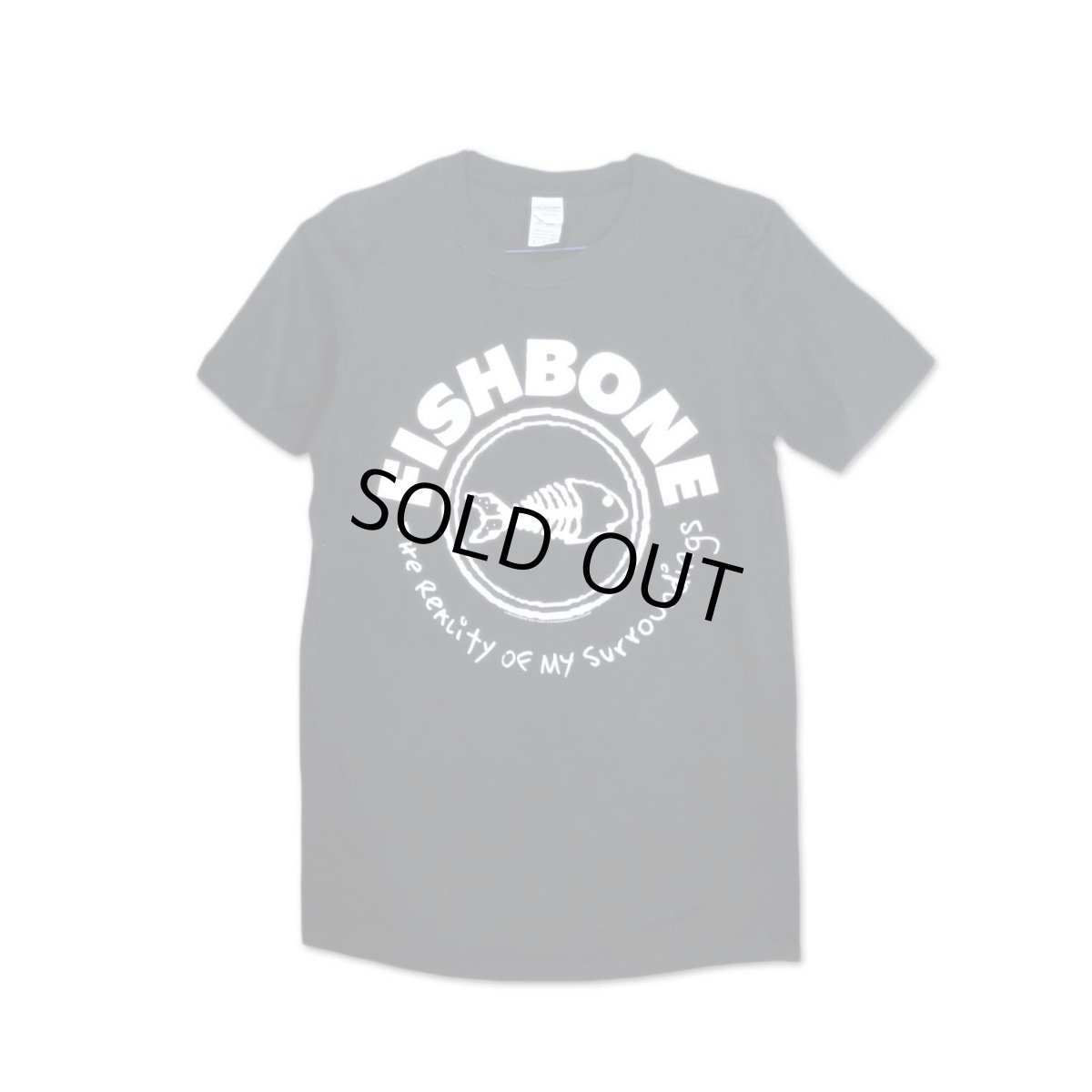 画像1: Fishbone バンドTシャツ フィッシュボーン The Reality Of My Surroundings (1)