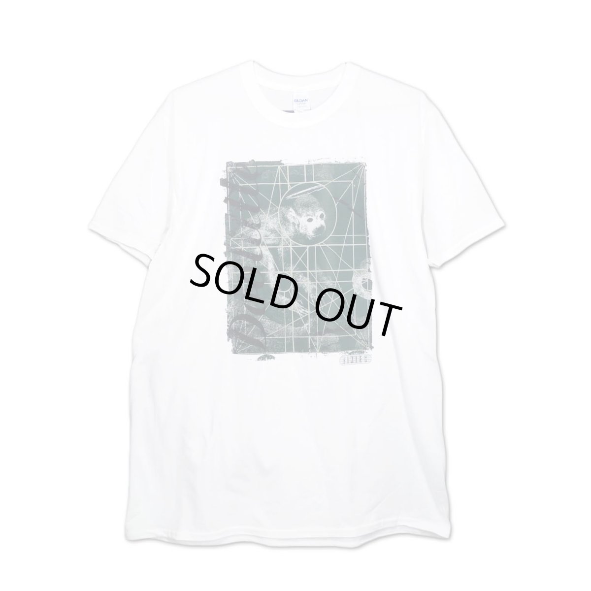 画像1: Pixies バンドTシャツ ピクシーズ Doolittle WHITE (1)