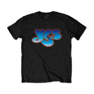 00s pavement ペイヴメントビンテージ スウェット バンドTシャツ