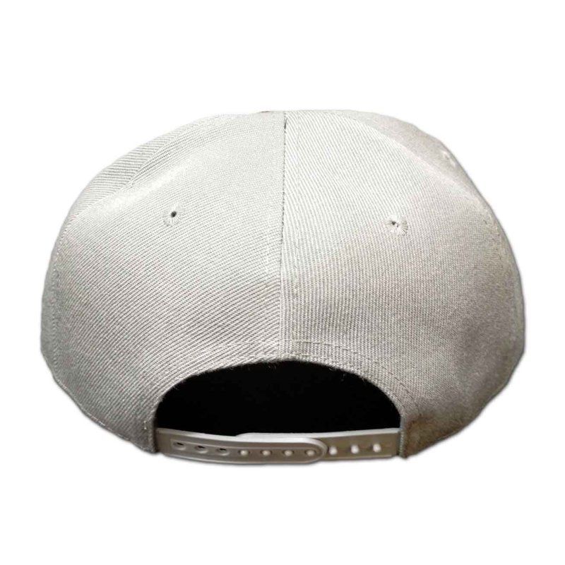 画像1: The Doors スナップバックキャップ ザ・ドアーズ Logo GREY