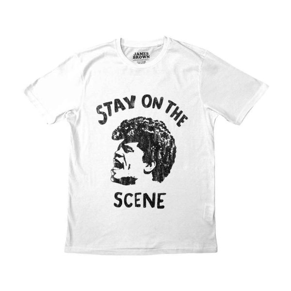 画像1: James Brown Tシャツ ジェームス・ブラウン Stay On The Scene (1)