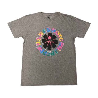 Descendents バンドTシャツ ディセンデンツ Logo - バンドT