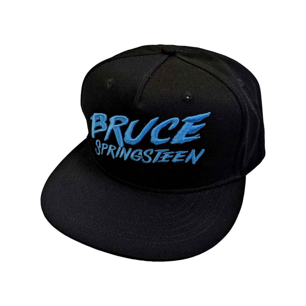 画像1: Bruce Springsteen フラットビルスナップバックキャップ ブルース・スプリングスティーン The River Logo (1)