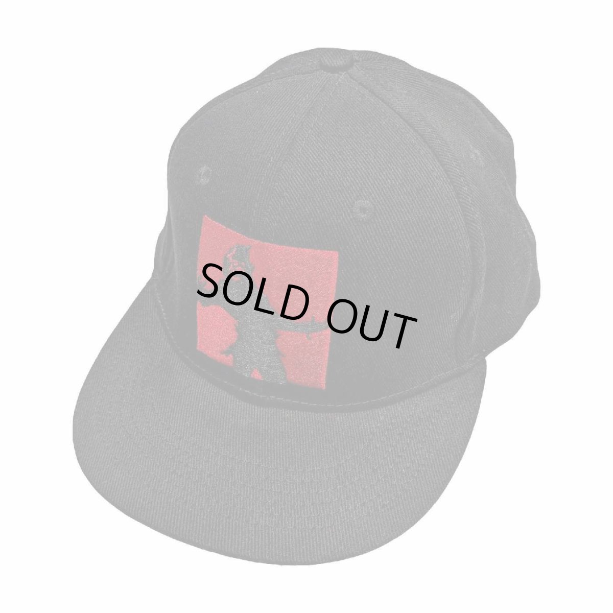 画像1: Disturbed フラットビルフレックスフィットキャップ ディスターブド Evolution (1)