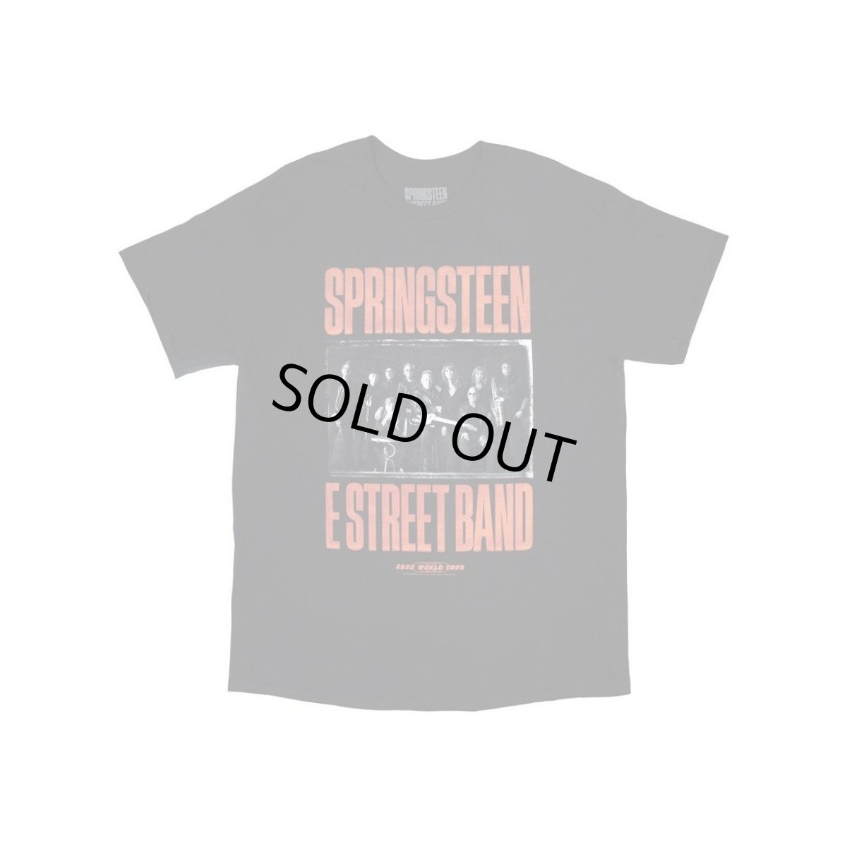 画像1: Bruce Springsteen バンドTシャツ ブルース・スプリングスティーン Band Photo [Back Print] (1)