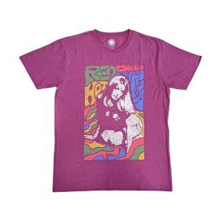 REDD KROSS レッド・クロス ★ 90s バンドTシャツ 来日 当時物 REDD KROSS レッド・クロス ☆ 90s バンドTシャツ 来日 当時物
