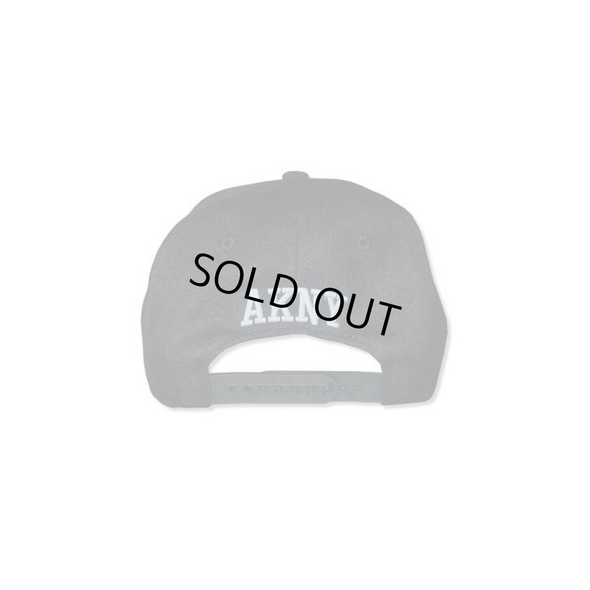 画像2: Alicia Keys フラットビルスナップバックキャップ アリシア・キーズ Harlem (2)