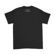 画像2: Cher Tシャツ シェール The Colosseum [Back Print] (2)
