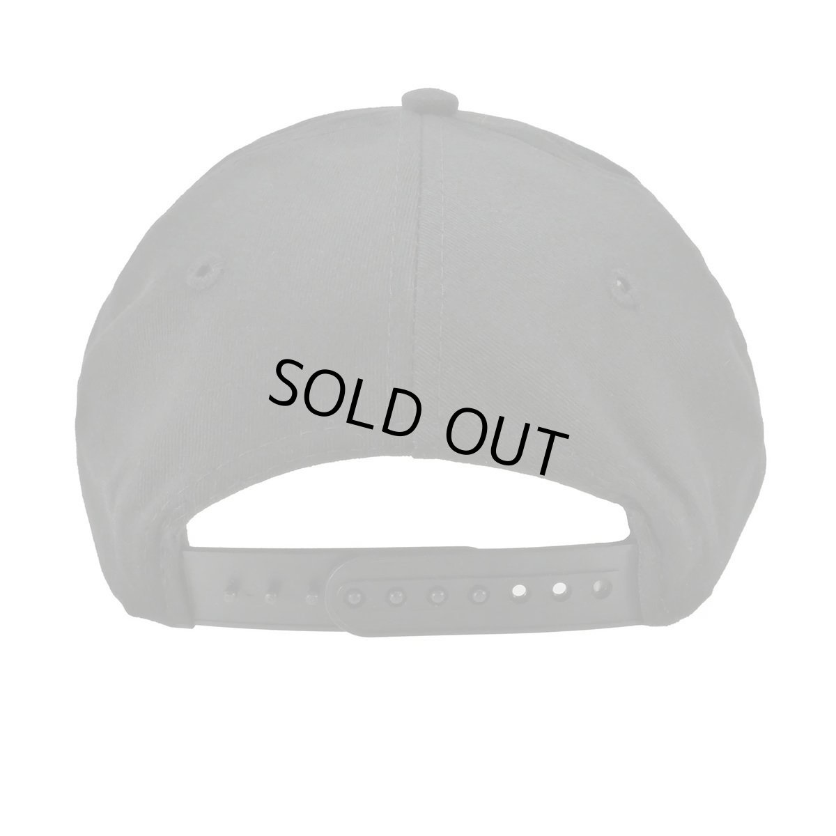 画像2: Queensryche フラットビルスナップバックキャップ クイーンズライチ Promised Land (2)