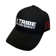 画像1: A Tribe Called Quest スナップバックキャップ ア・トライブ・コールド・クエスト Text Logo (1)
