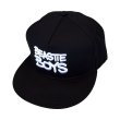 画像1: Beastie Boys スナップバックキャップ ビースティー・ボーイズ Check Your Head Logo (1)