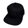 画像1: In Flames フラットビルスナップバックキャップ イン・フレイムス Black Logo (1)