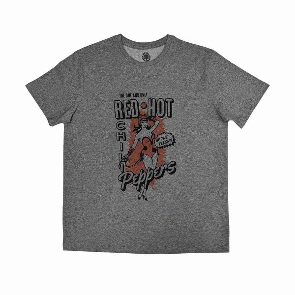 画像1: Red Hot Chili Peppers バンドTシャツ レッド・ホット・チリ・ペッパーズ In The Flesh GREY (1)