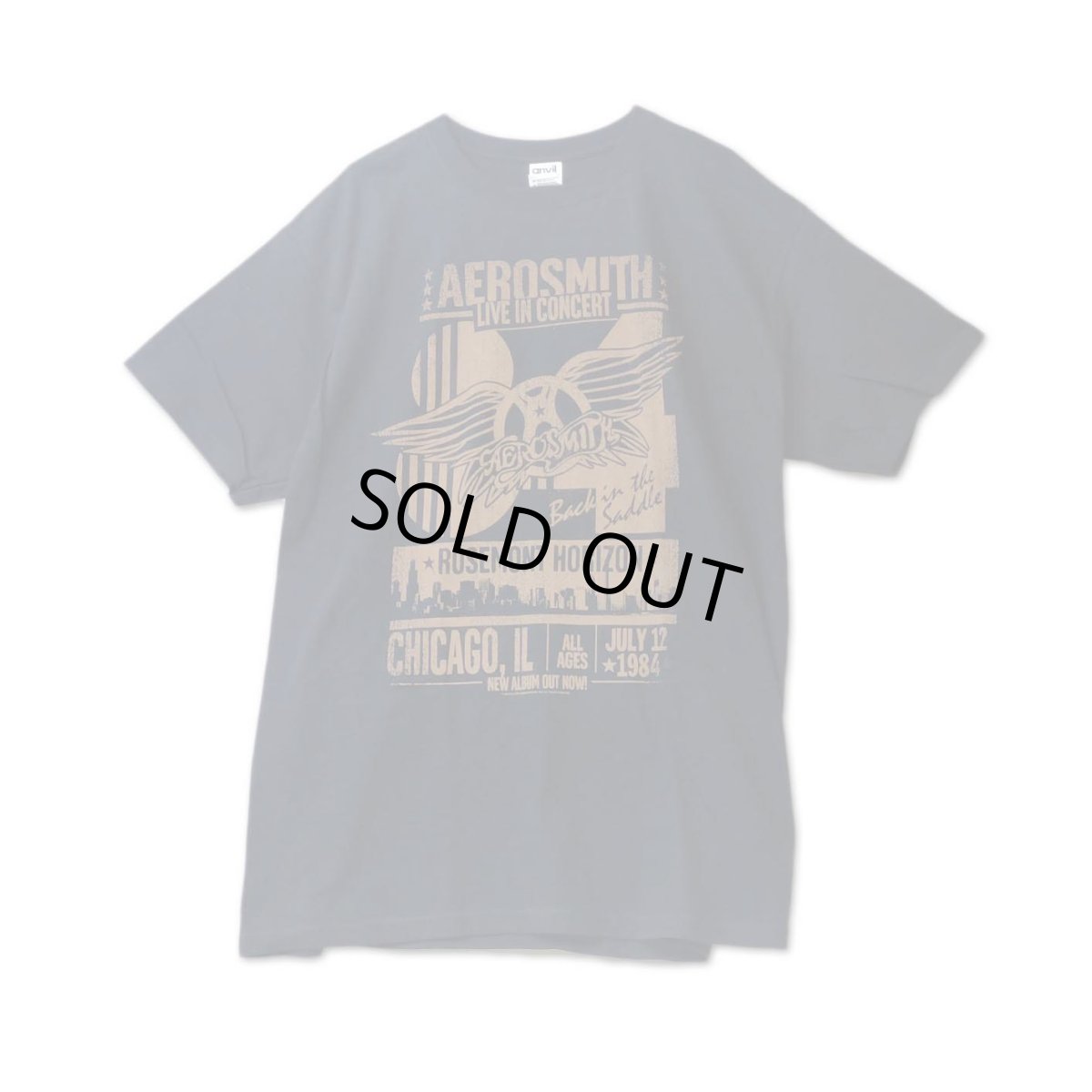 画像1: Aerosmith バンドTシャツ エアロスミス Distressed Live In Concert (1)