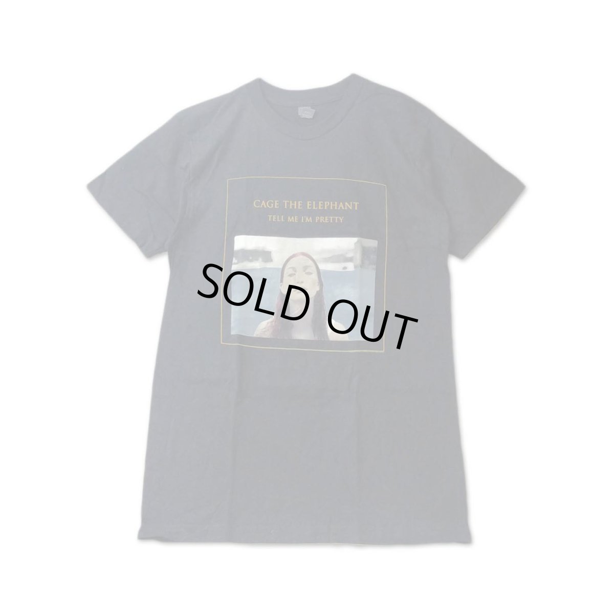画像1: Cage The Elephant バンドTシャツ ケイジ・ザ・エレファント Tell Me I'm Pretty 2016 Tour [Back Print] (1)