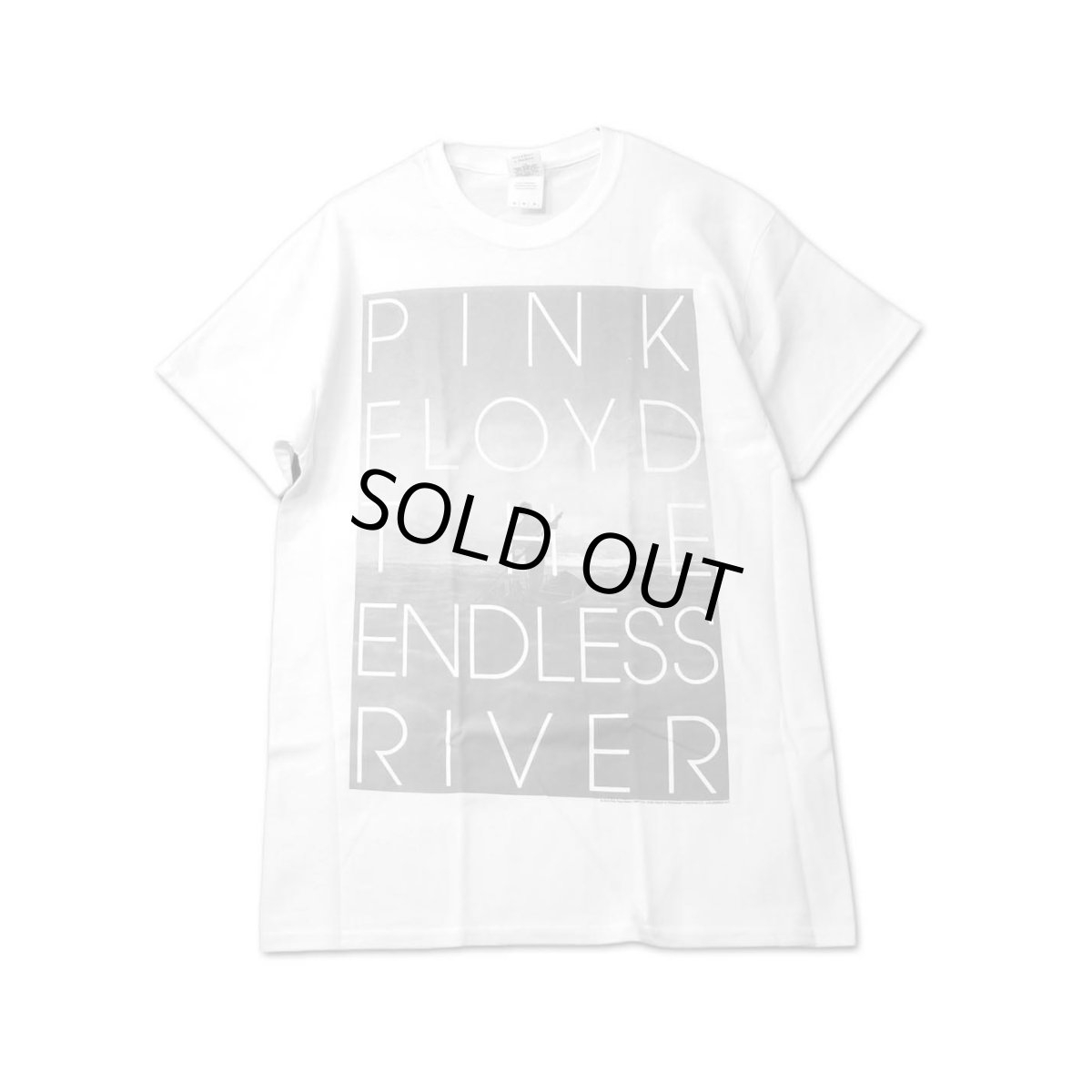 画像1: Pink Floyd バンドTシャツ ピンク・フロイド The Endless River (1)