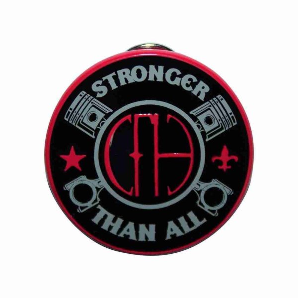 画像1: Pantera メタルピンバッジ パンテラ Stronger (1)