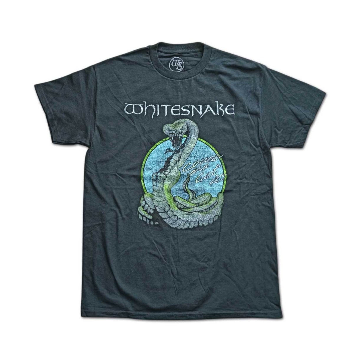 画像1: Whitesnake バンドTシャツ ホワイトスネイク Circle Snake (1)