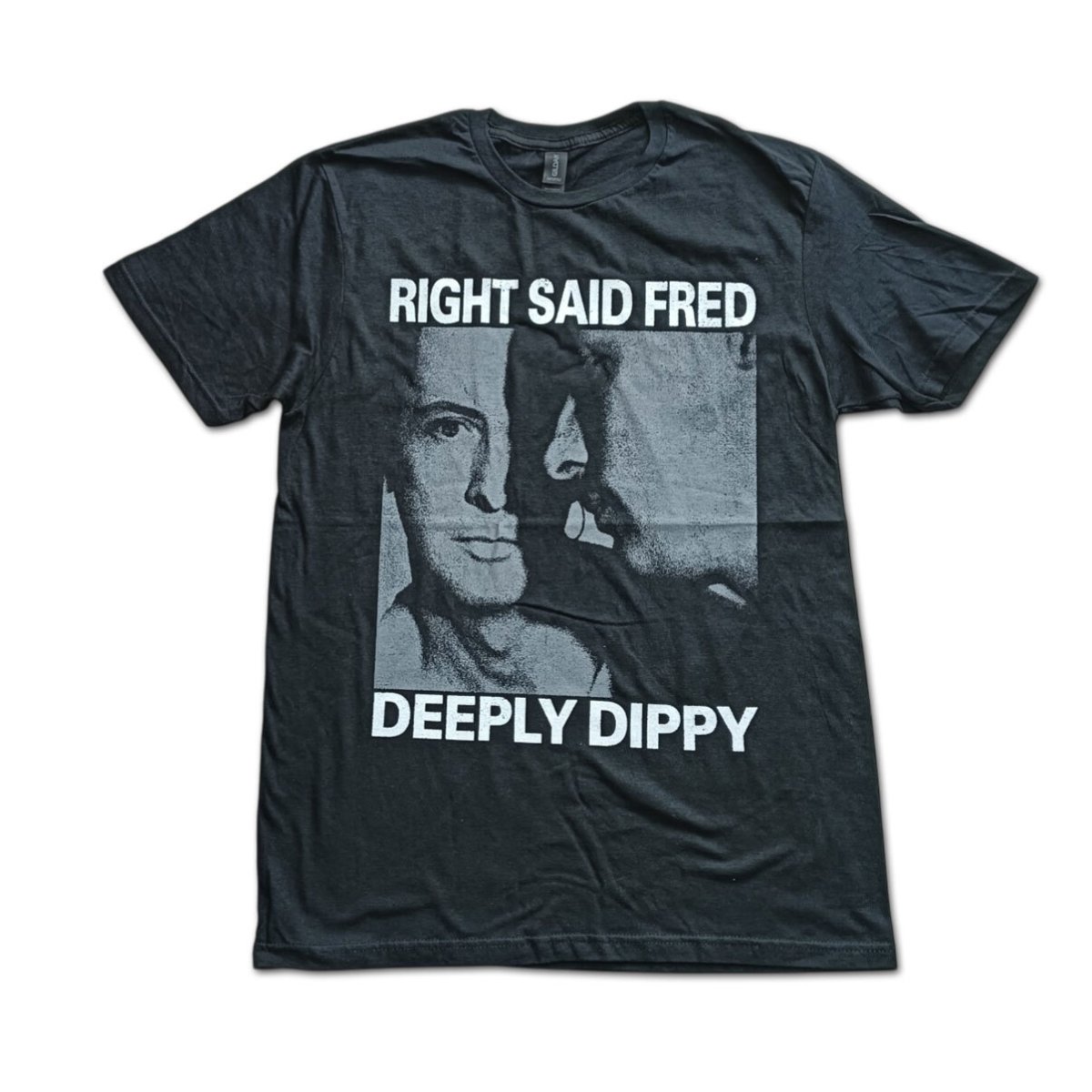 画像1: Right Said Fred バンドTシャツ ライト・セッド・フレッド Deeply Dippy (1)