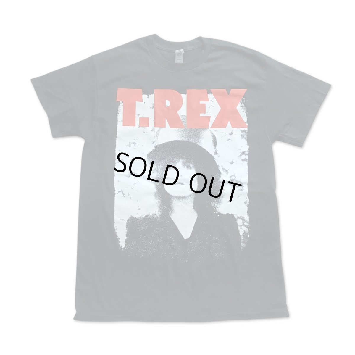 画像1: T.Rex バンドTシャツ T.レックス The Slider (1)