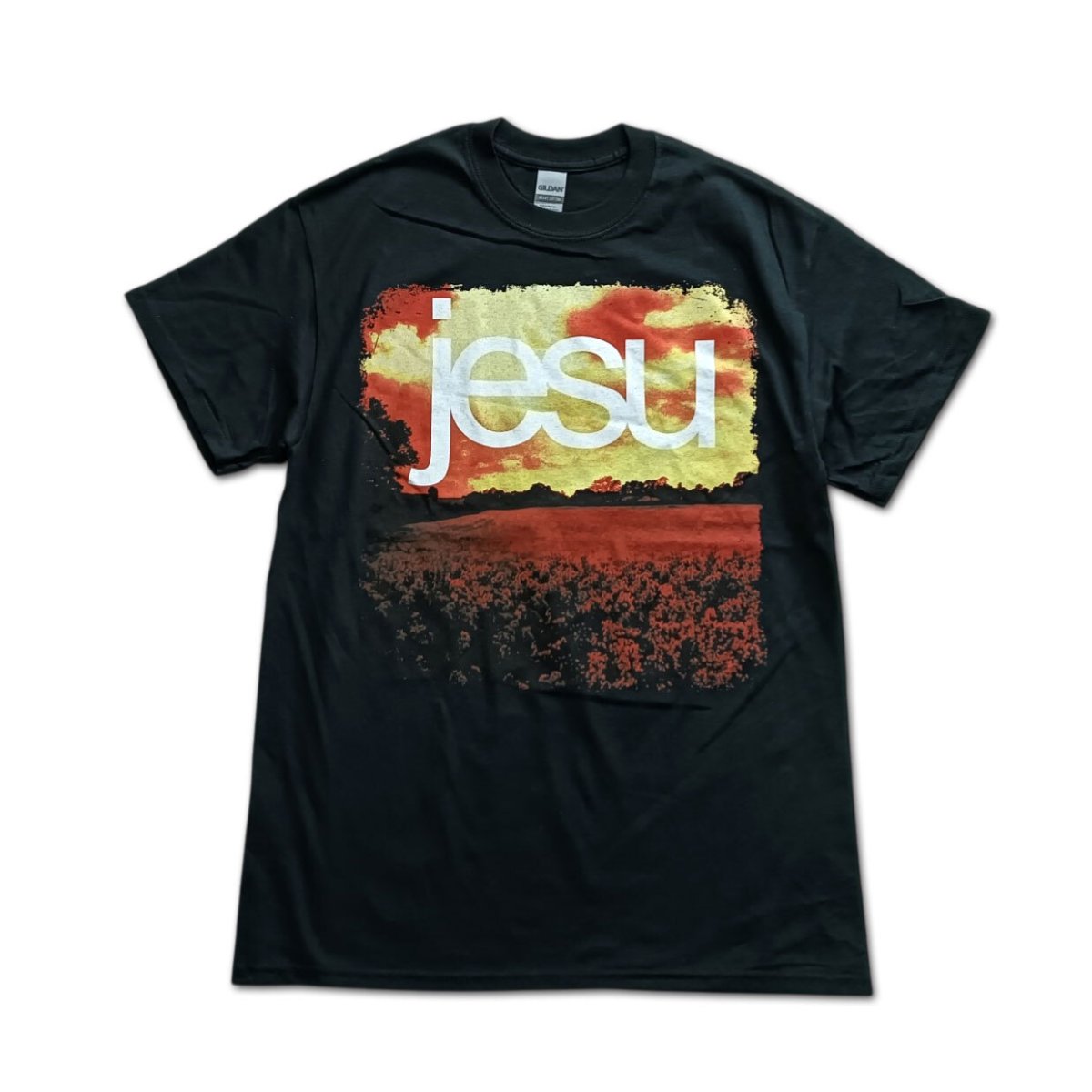 画像1: Jesu バンドTシャツ イェスー Heart Ache (1)