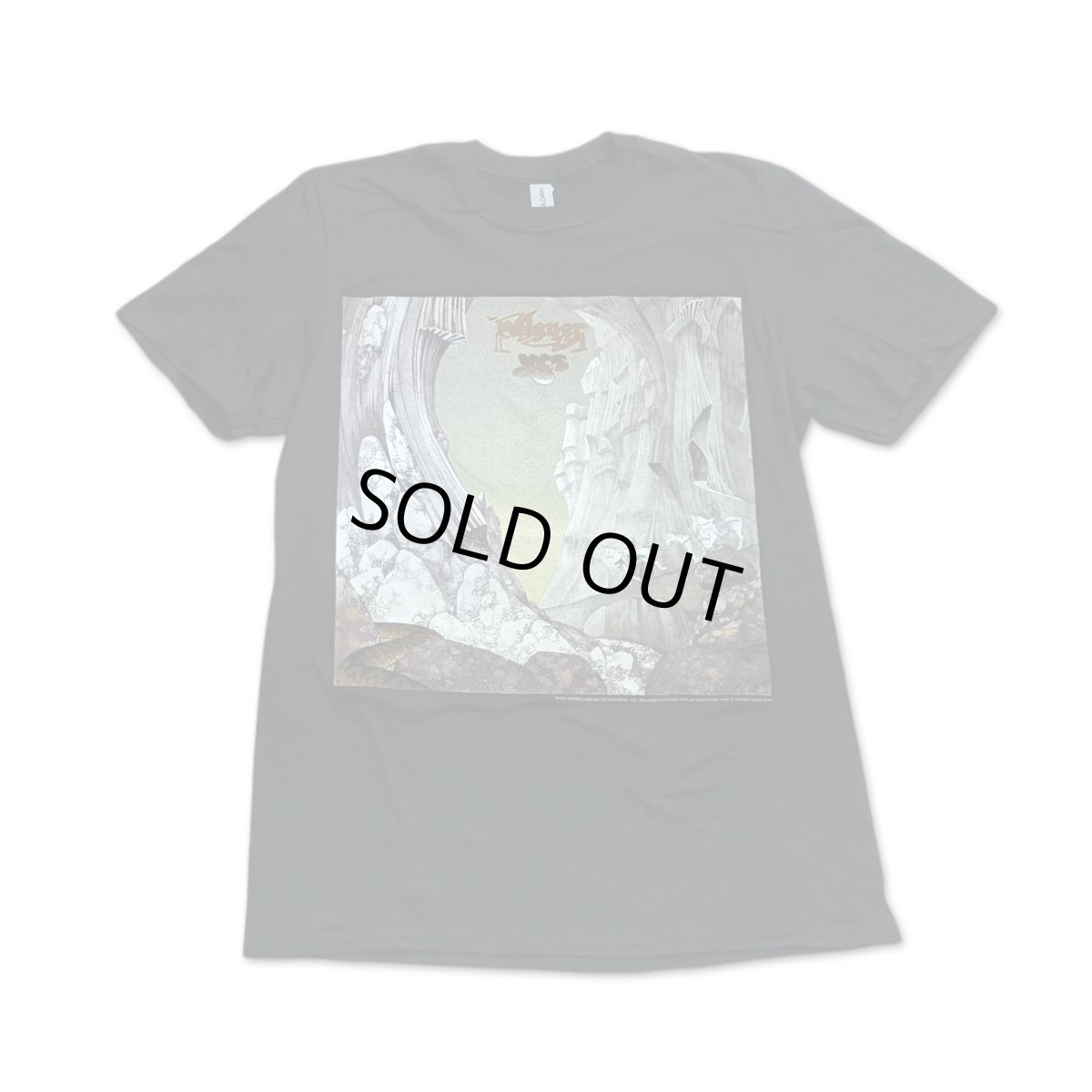 画像1: Yes バンドTシャツ イエス Relayer (1)
