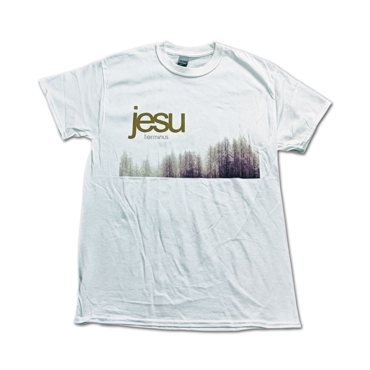 画像1: Jesu バンドTシャツ イェスー Terminus (1)
