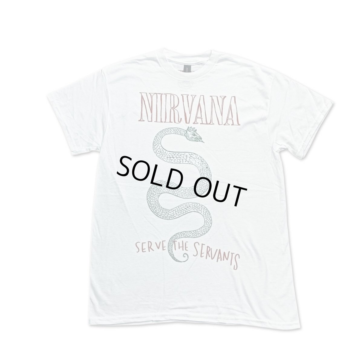 画像1: Nirvana バンドTシャツ ニルヴァーナ Serpent Snake (1)