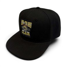 画像1: Wu-Tang Clan フラットビルスナップバックキャップ ウータン・クラン 1993 (1)