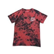画像1: Alice In Chains バンドTシャツ アリス・イン・チェインズ Circle Emblem Dip-Dye [Back Print] (1)