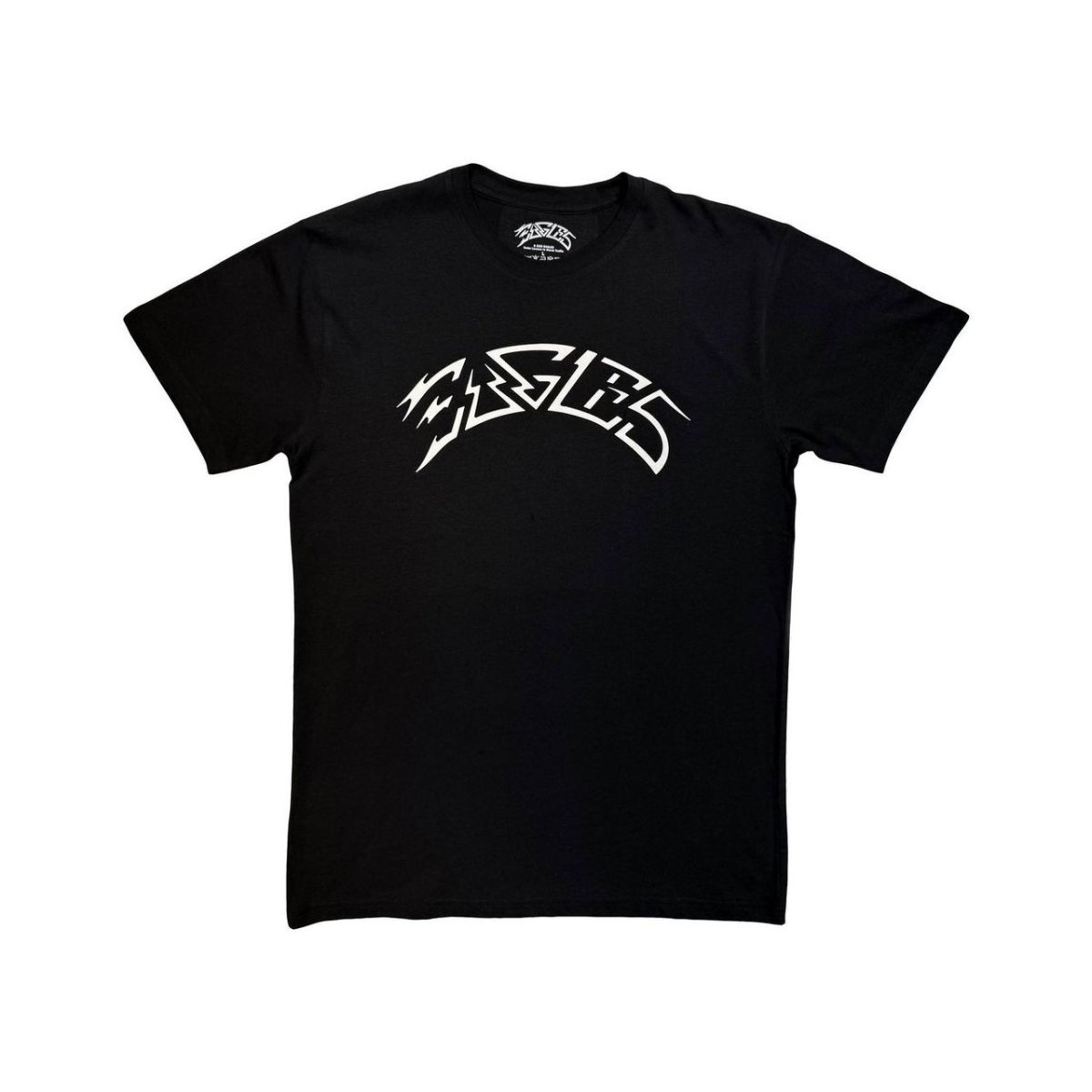 画像1: Eagles バンドTシャツ イーグルス Logo Mono (1)